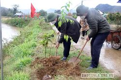 Lễ phát động hưởng ứng Chương trình trồng 1 tỷ cây xanh 'Vì một Việt Nam xanh'