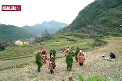 Lễ cúng tổ tiên của người Lô Lô nơi địa đầu Tổ quốc
