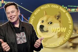 Thực hư chữ Đ mà Elon Musk viết trên Twitter