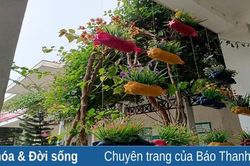 Ngôi trường '3 xanh'