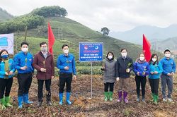 Phát động Tết trồng cây 'Tuổi trẻ Đất Tổ đời đời nhớ ơn Bác Hồ'