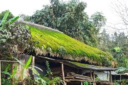 Mái nhà rêu xanh đẹp như tranh ở Hà Giang