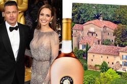 Hết tranh chấp quyền nuôi con, Brad Pitt và Angelina Jolie lại kiện nhau vì tài sản chung