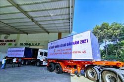 Cơ cấu hàng Việt Nam xuất khẩu sang Singapore tương đối bền vững