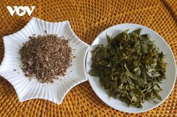 Rau sắn muối chua dân dã mà lạ miệng của đồng bào Dao Đỏ
