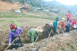 Mai Sơn đảm bảo nguồn nước cho vụ xuân