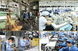 Chính phủ, Thủ tướng Chính phủ ban hành 18 văn bản quy phạm pháp luật