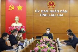 Bàn giải pháp tháo gỡ khó khăn xuất - nhập khẩu hàng hóa qua các các cửa khẩu biên giới phía Bắc