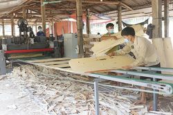 Thanh Sơn phát triển sản xuất và chế biến gỗ