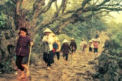 Cuộc đời sau ống kính: 'Hôm qua em đi Chùa Hương…'