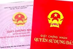 Cú lừa 'ngoạn mục' của con dâu với gia đình nhà chồng