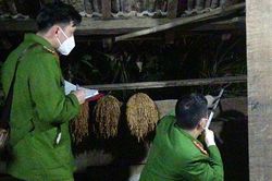 Bố chồng bắn chết con dâu rồi tự sát