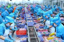 Phòng vệ thương mại trong ngành thủy sản: Không thể xem nhẹ