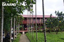 Đam mê khởi tạo du lịch thôn quê