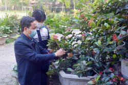 Trường học điển hình với 'khuôn viên xanh'