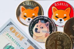 Dogecoin, Shiba Inu lao dốc