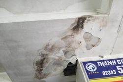 Kinh tế Xây dựng - Giao thông Nguy cơ sập trần thạch cao chung cư Vicoland