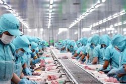 Nga bị loại khỏi SWIFT, xuất khẩu nông sản Việt Nam ảnh hưởng ra sao?