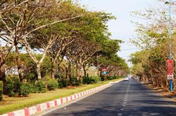 Đảo Gò Găng - điểm check in bình yên mùa đại dịch