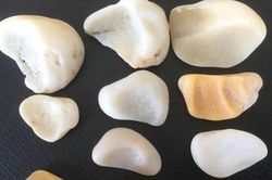 Đào ao, lão nông vô tình đụng trúng sinh vật hóa ngọc cực hiếm