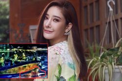 Rộ nghi vấn thi thể nữ diễn viên Chiếc lá cuốn bay đã bị nhóm bạn cố tình kéo lê dưới thuyền nhiều giờ?