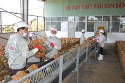 Yêu cầu cao hơn về giám sát đối với thực phẩm nhập khẩu vào Trung QuốcTin khácLực lượng vũ trang tỉnh: 75 năm chiến đấu, xây dựng và trưởng thànhCông tác tuyên truyền góp phần thực hiện tốt Chỉ thị 05