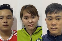 3 người làm giả cả nghìn bộ hồ sơ xin việc