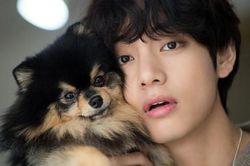 V BTS đẹp trai mà 'khùng', ARMY mới chắc sẽ bất ngờ