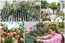 Biệt thự phủ kín hoa của sao nam Việt và vợ doanh nhân