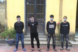 Bắt nhóm đối tượng chuyên trộm cắp tại các trường Tiểu học