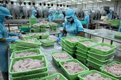 Chiến tranh Nga - Ukraine: Xuất khẩu nông sản sang Nga phải tạm dừng