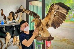 9X Nghệ An hồi sinh thú cưng, làm một việc khó tin cho nhà giàu