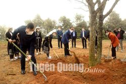 Na Hang phát động trồng cây xanh gắn với phát triển du lịch