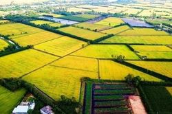 Đến năm 2030, miền Tây trở thành trung tâm kinh tế nông nghiệp bền vững