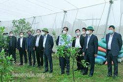 Đoàn công tác của Tỉnh ủy Sơn La tham quan mô hình sản xuất nông nghiệp tại Hưng Yên