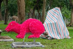 Hiện trạng xuống cấp ở công viên lớn nhất nội thành Hà Nội