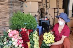 Lâm Đồng: Giá hoa hồng tăng cao trước lễ 8.3