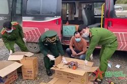 Quảng Trị phát hiện, bắt giữ đối tượng vận chuyển trái phép pháo nổ