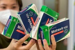 Sở Y tế TP.HCM: Nhiều doanh nghiệp sắp được sản xuất Molnupiravir, giá sẽ giảm