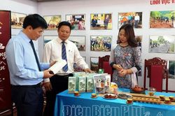 Phát huy vai trò của phụ nữ trong phát triển kinh tế - xã hội