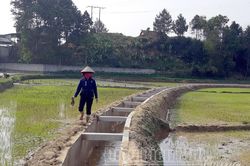 Kiên cố hóa kênh mương thủy lợi