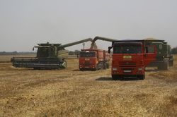 Xung đột gây mất an ninh lương thực toàn cầu