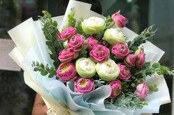 Lời chúc 8/3 dành cho mẹ hay và ý nghĩa