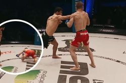 Võ sĩ Ba Lan sử dụng đòn 'sấm sét', hạ knock-out đối thủ bằng một cú đấm