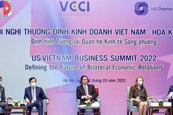 Thúc đẩy quan hệ Việt Nam - Hoa Kỳ phát triển thực chất, hiệu quả