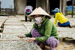 Đêm tối đen giong thuyền ra biển, vượt sóng săn loài cá 'sợ trăng'