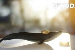 Ví Bitcoin cổ đại chứa 407 BTC vừa thức giấc