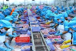 Ngành thủy sản tăng trưởng ấn tượng đầu năm 2022