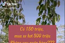 Nữ tiktoker lập kế hoạch mua xe nửa tỉ chỉ với 150 triệu mà không cần vay ngân hàng gây tranh cãi