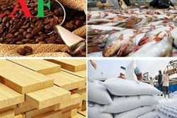 VCCI: Đề nghị chuyển nhiều mặt hàng để được chịu thuế GTGT, tiêu thụ đặc biệt